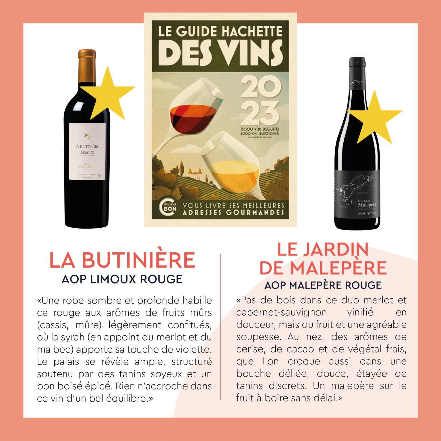 Guide Hachette des Vins 2023 Anne de Joyeuse