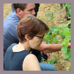 Marie (du service comptabilité) et Yoann (caviste) ont pu découvrir à leur tour le métier de technicien vignoble