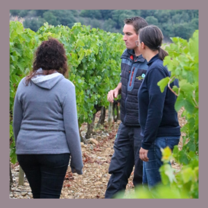 Aurélie & Isabelle (Administration des ventes) ont accompagné Guillaume (Responsable vignoble) pour relever les baies et analyser la maturité des raisins. Une belle matinée passée à parcourir les vignes